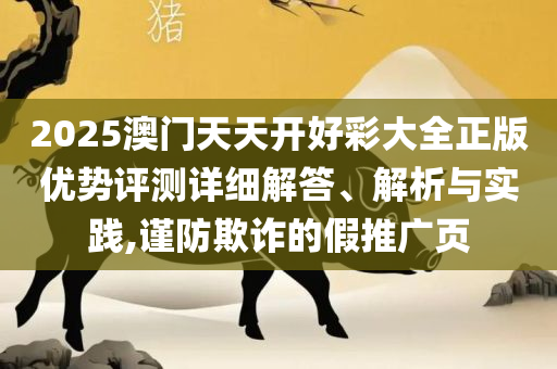 新澳门天天免费精准大全精选解析、解析与实践-留心虚假渲染