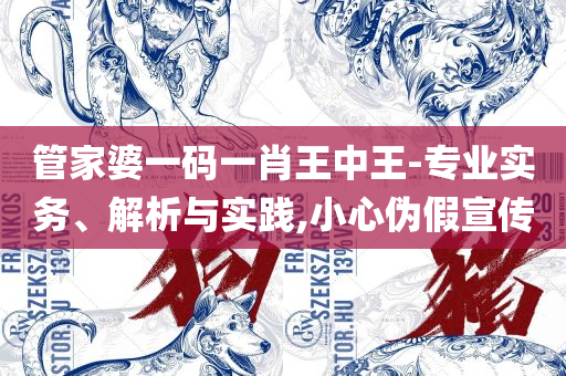澳门最精准真正最精准龙门和小心诱导式宣传-详细解答、解析与实践