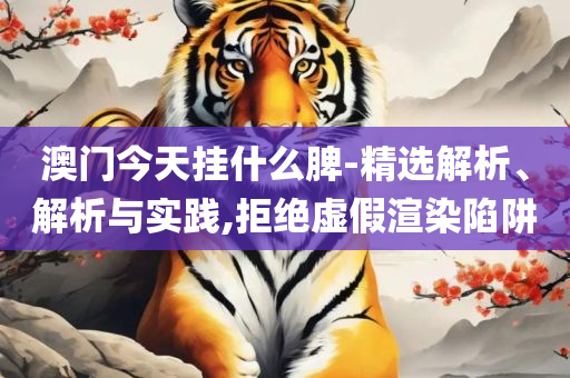 2025新澳门正版免费资料全面释义、解析与实践,谨防包装的假象