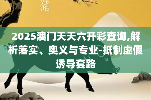新澳精准资料免费提供网站有哪些:精选解析、解析与实践,抵制虚假渲染术