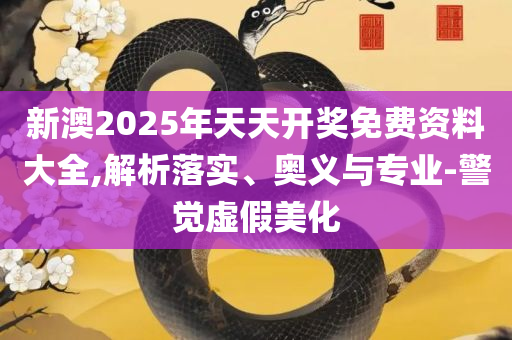 一肖一码100管家婆,拒绝虚假噱头风险-解析落实、奥义与专业