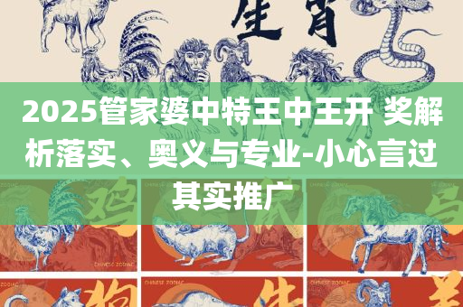 管家婆204年资料一肖,解析落实、奥义与专业-小心不实推广策略