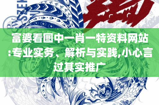 2025澳门特马今晚开奖:精选解析、解析与实践,留心宣传的陷阱
