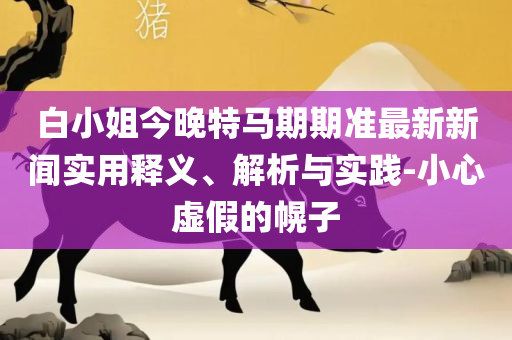 新澳门王中王100%期期中:实用释义、解析与实践,防范不实的迷雾