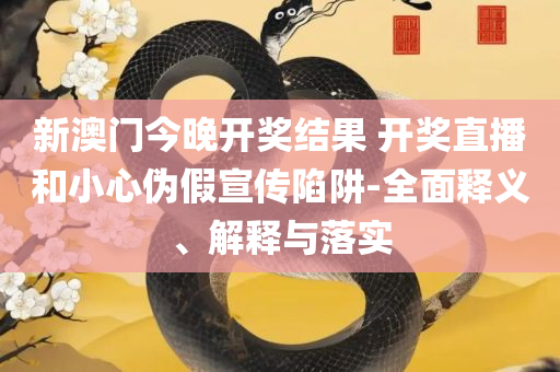 管家婆一肖一码取准确专业实务、解析与实践-远离欺骗的迷雾