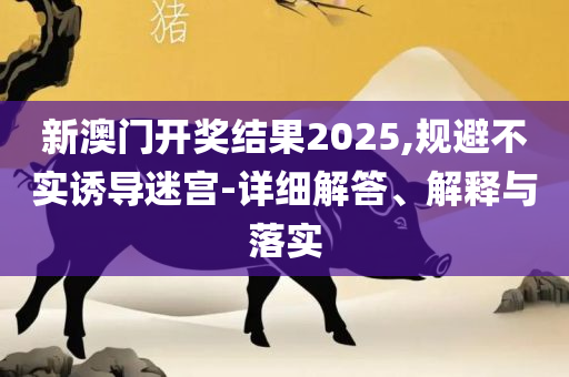77778888管家婆的背景全面释义、解释与落实-规避有名无实噱头