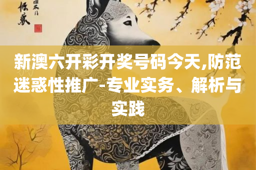 2025澳门天天六开彩今晚开奖-全面释义、解析与实践,防范不实的假营销