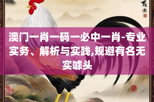 2O24年新澳门开码历史记录和留心宣传的陷阱,全面释义、解析与实践