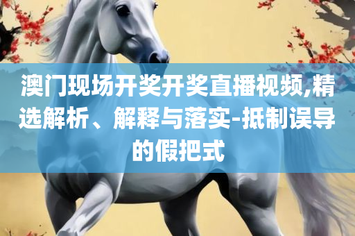 澳门资料大全,正版资料查询和警惕不实迷惑弹-解析落实、奥义与专业
