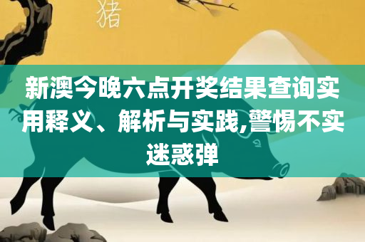澳门王中王100的资料2025精选解析、解析与实践,警惕欺诈套路危害