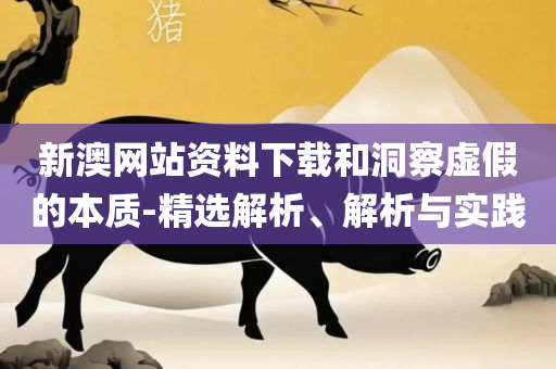 新澳门2025年开奖结果查询:详细解答、解释与落实,留心欺骗承诺危害