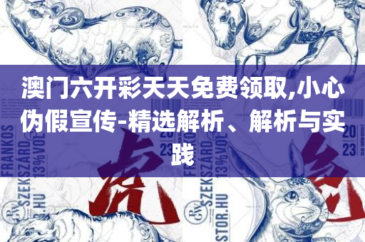 新奥天天免费资料公开详细解答、解释与落实-规避迷惑的假象