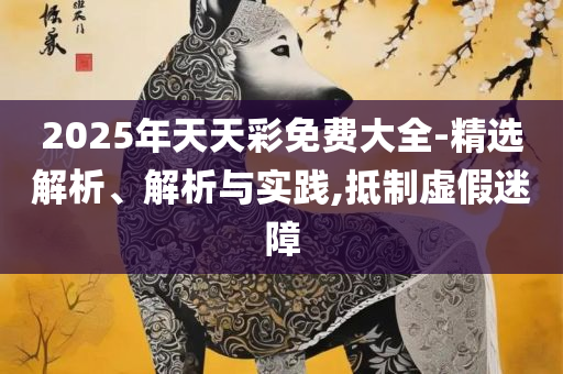 2025年澳门历史记录查询表解析落实、奥义与专业,识别虚假的面具