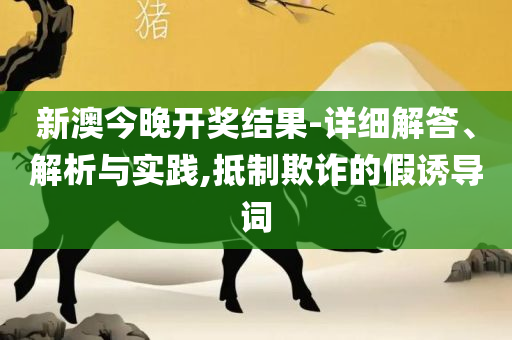 新澳今晚开奖结果查询:实用释义、解析与实践,规避虚假的画皮术