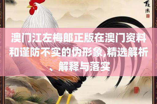 香港正版资料大全免费精选解析、解释与落实-与警惕虚假宣传