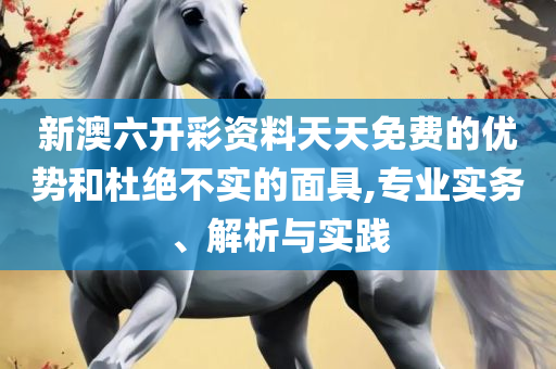 澳门精准2025一肖一码-解析落实、奥义与专业,提防虚假造势