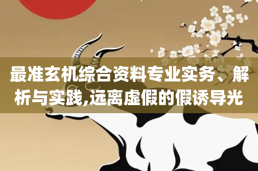 澳门资讯网开奖记录全面释义、解析与实践,看穿不实的伪装