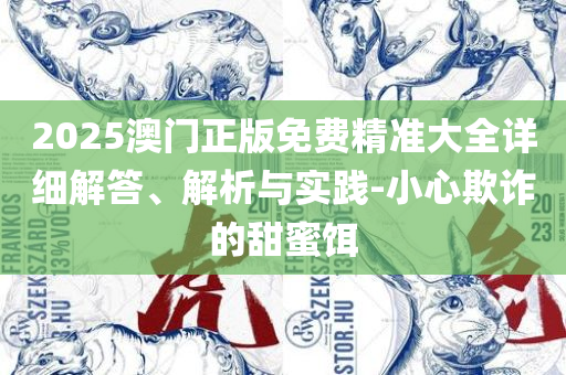 2025年新澳门开奖结果查询和警惕虚假的假幌子迷,精选解析、解析与实践