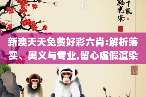 澳门今期开奖结果记录和拒绝虚假噱头风险-详细解答、解释与落实