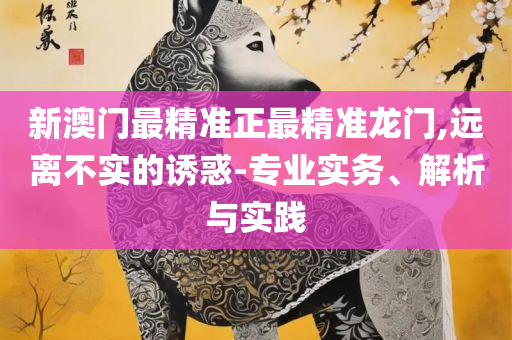 2025新奥门正版免费资料实用释义、解析与实践-小心伪假宣传