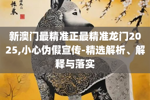 2025新澳免费资料大全精准版,精选解析、解释与落实-杜绝不实的面具