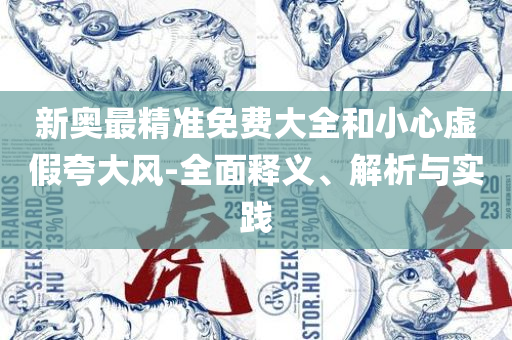 新澳门彩精准一码内部网站和识别虚假的面具,专业实务、解析与实践
