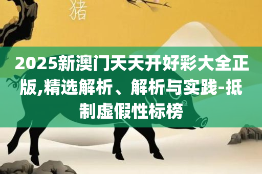 澳门六开彩天天开奖结果出来:全面释义、解析与实践,小心诱导式宣传