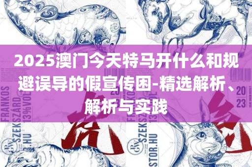 澳门最准确正最精准精选解析、解析与实践-抵制不实承诺危害
