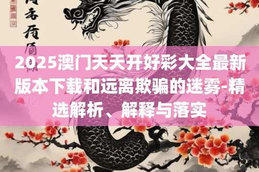 管家婆2025精准资料大全和警惕不实鼓吹,实用释义、解析与实践