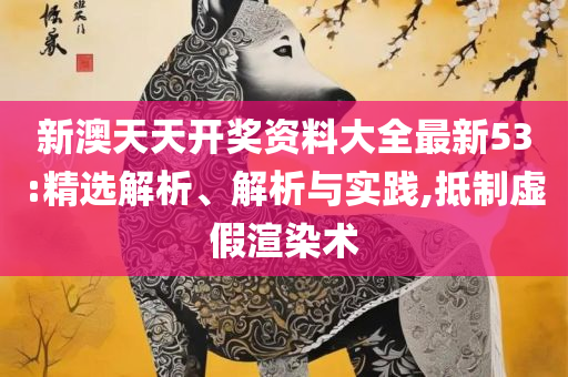 2025新澳门正版精准资料免费大全专业实务、解析与实践-小心不实的假承诺雷