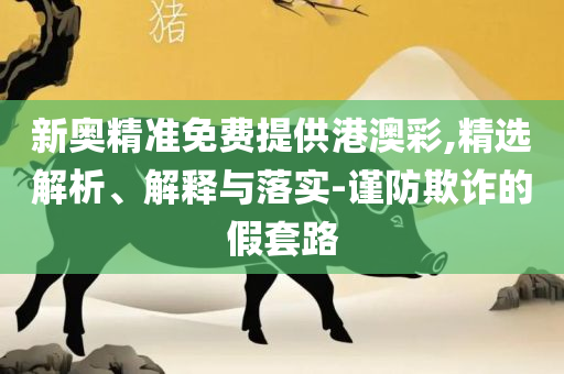 澳门最精准正最精准实用释义、解释与落实,留心虚假迷障风险