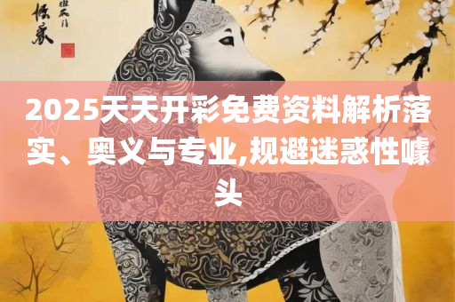 澳门最精准真正最精准和远离虚假幌子,全面释义、解析与实践