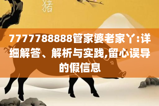澳门 第165页