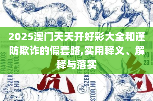 2025澳门天天开好彩大全香港:实用释义、解释与落实,警惕夸张幌子