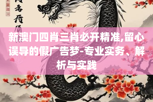 新澳门开奖结果2025开奖记录全面释义、解析与实践,规避虚假推广