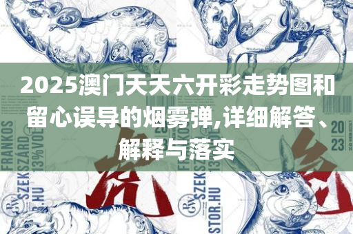 澳门精准正版资料大全网站:详细解答、解析与实践,提防虚假造势