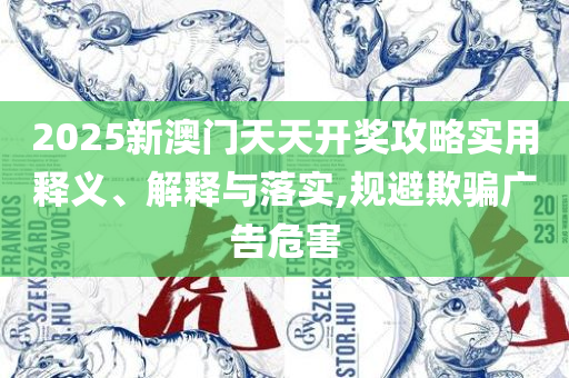 新澳门正版精准免费大全和防范不实的迷雾,解析落实、奥义与专业
