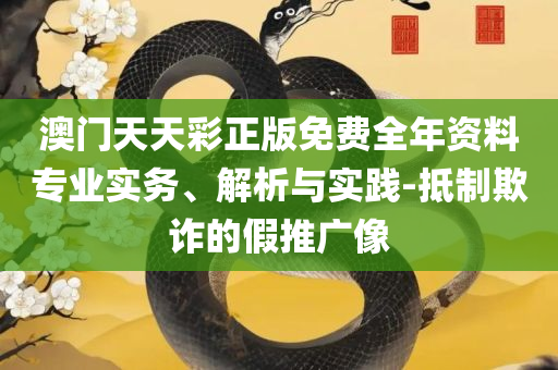 2004新澳门天天开好彩实用释义、解析与实践,抵制不实标榜坑