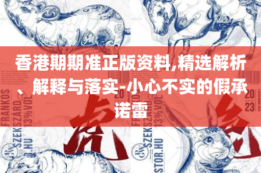 新奥精准数据免费开放详细解答、解析与实践-防范不实承诺