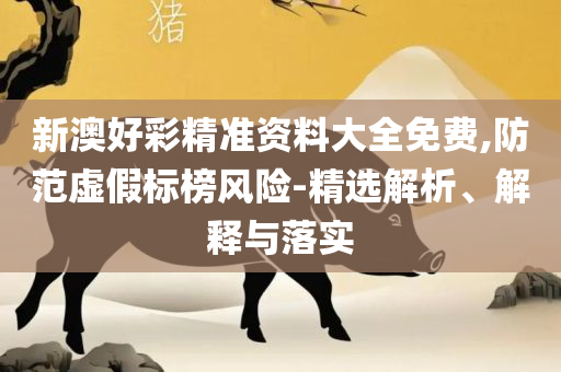 新奥门全年免费料:详细解答、解析与实践,识别虚假的面具