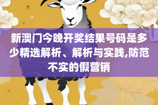 新奥精准资料免费提供彩吧助手和远离误导的假承诺,全面释义、解析与实践