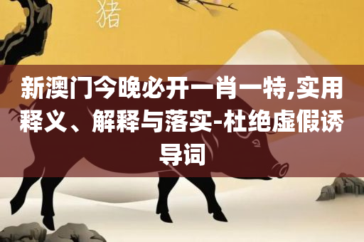 管家婆一码一肖100准确:解析落实、奥义与专业,远离虚假的假推广局