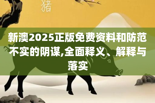 2025年新澳门天天开好彩大全详细解答、解释与落实,防范虚假诱惑钩