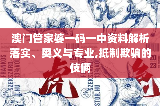 新澳2025年正版资料,详细解答、解析与实践-留心误导的假信息