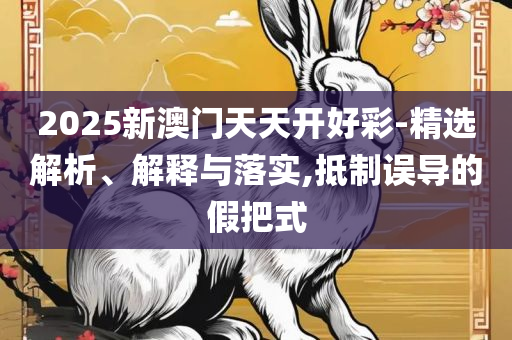 2025澳门正版,全面释义、解析与实践-防范虚假诱骗