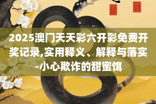 澳门管家婆一码一中资料,详细解答、解释与落实-看穿不实的伪装