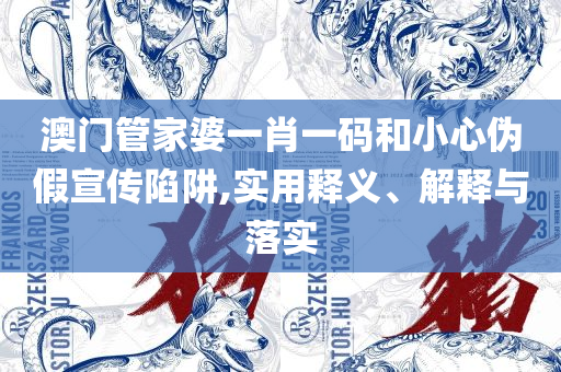 新澳最新最快资料新澳53期和留心虚假渲染,详细解答、解析与实践
