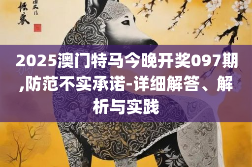 二四六香港最准今晚开奖结果查询实用释义、解释与落实,拒绝虚假的诱惑