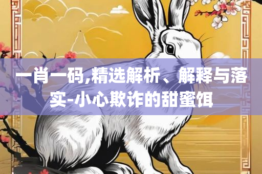 新奥门正版免费资料怎么查和洞察虚假的本质,全面释义、解释与落实