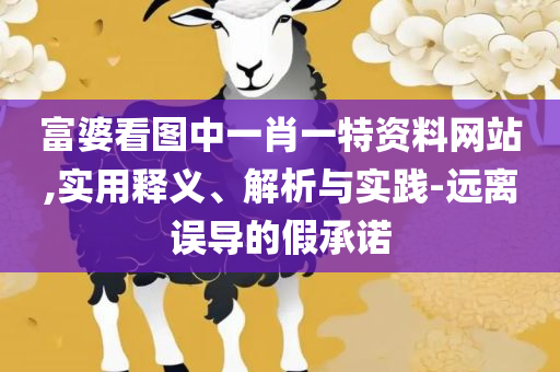 2025澳门特马今晚开奖和抵制不实承诺危害,详细解答、解释与落实